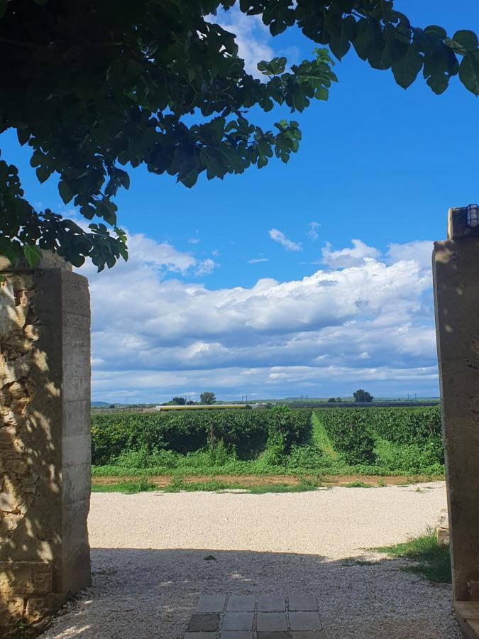 Mas De La Forge Noguier Bed & Breakfast Vergèze Екстериор снимка